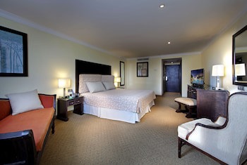 Dominican Fiesta Hotel