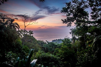 Lapa Rios Lodge