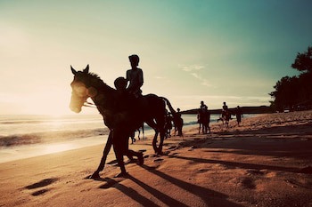 Cabarete Boutique Ecolodge Beachfront