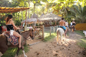 Cabarete Boutique Ecolodge Beachfront