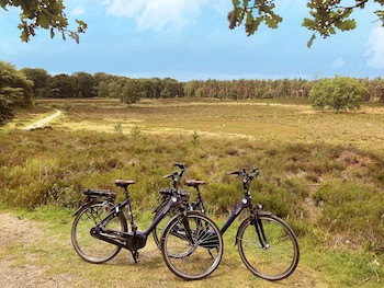 Fletcher Strandhotel Renesse