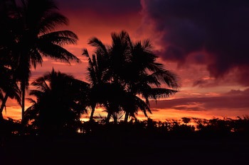 Club Fiji Resort