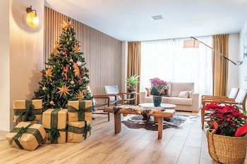 Hotel Viella