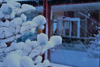 Alto Calafate Hotel Patagonico