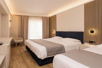 Palatino Hotel galeri fotoğrafı