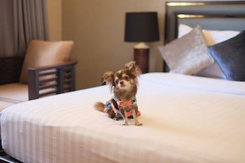 Grand Mercure Bangkok Asoke Residence
