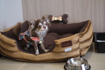 Grand Mercure Bangkok Asoke Residence