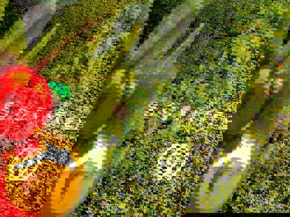 Sofitel Barcelona Skipper