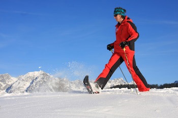 Alpenschlossl