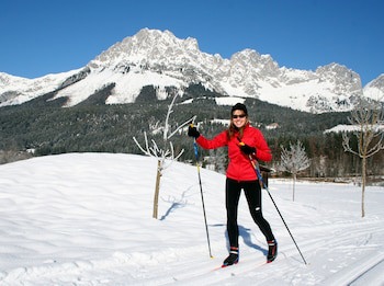 Alpenschlossl