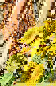 Gallery Residence & Hotel