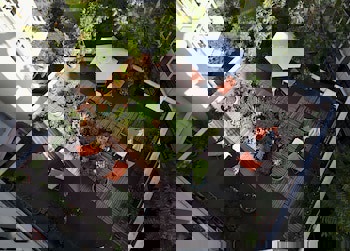 Gallery Residence & Hotel