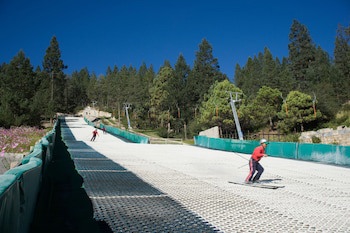 Bosques De Monterreal