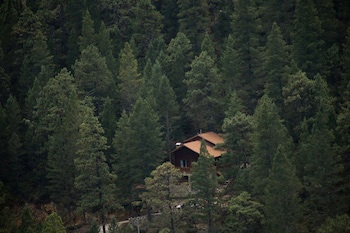 Bosques De Monterreal