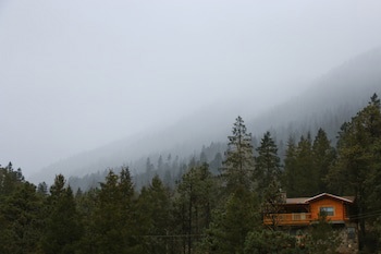 Bosques De Monterreal