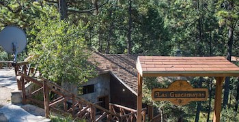 Bosques De Monterreal