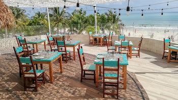 Catalonia Playa Maroma All Inclusive