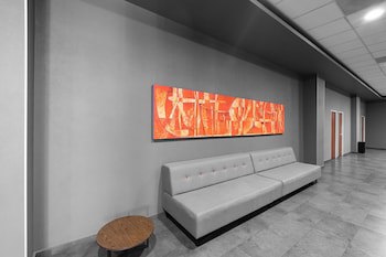 City Express Plus By Marriott Guadalajara Expo