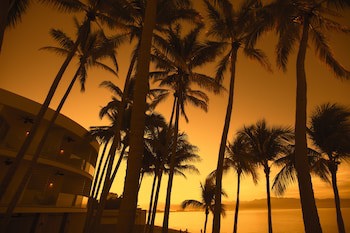 Vista Vallarta All Suites On The Beach
