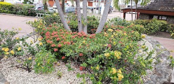 Antigua Yacht Club Marina