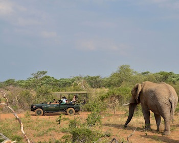 Mabula Game Lodge