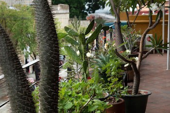 Casa Catrina