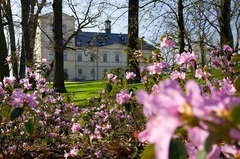 Chateau Mcely