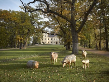 Chateau Mcely