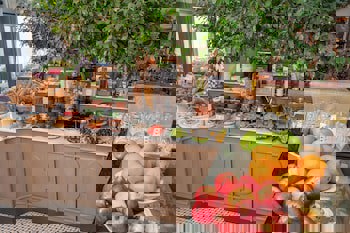 Niles Hotel Istanbul - Special Class