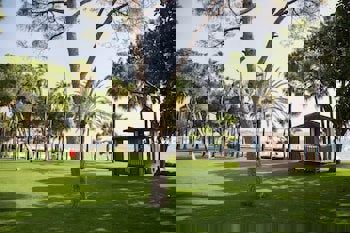 Acanthus Cennet Barut Collection - Ultra All Inclusive