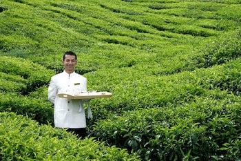 Cameron Highlands Resort