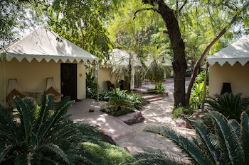 Ajit Bhawan - A Palace Resort