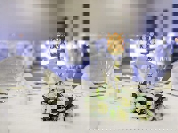 Novotel Istanbul Zeytinburnu