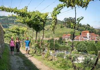 Six Senses Douro Valley