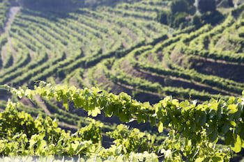 Six Senses Douro Valley