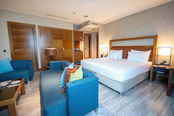 Dedeman Konya Hotel And Convention Center galeri fotoğrafı