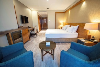 Dedeman Konya Hotel And Convention Center galeri fotoğrafı