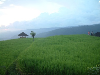 Puri Lumbung Cottages, Restaurant & Spa