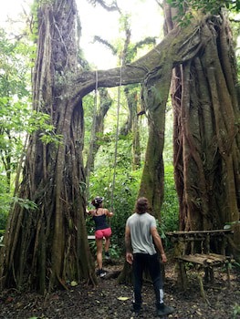 Puri Lumbung Cottages, Restaurant & Spa