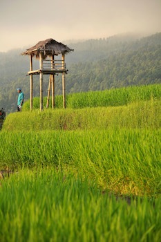 Puri Lumbung Cottages, Restaurant & Spa
