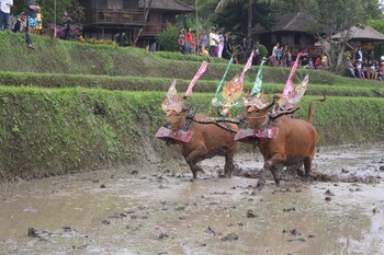Puri Lumbung Cottages, Restaurant & Spa
