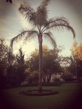 Bayswater Lodge