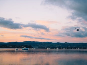 Trinity Wharf Tauranga