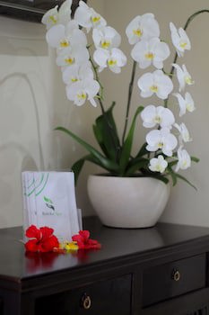 Baleka Resort Hotel & Spa