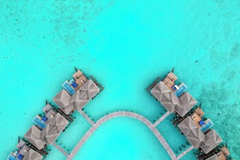 Coco Bodu Hithi