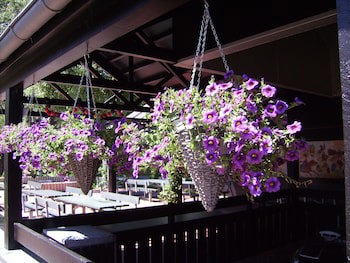 Ribe Byferie Resort