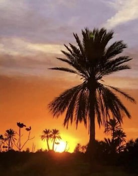 Djerba Orient