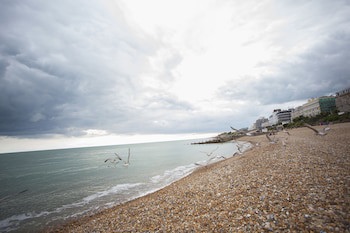 Best Western Plus Citrus Hotel Eastbourne
