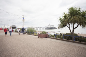 Best Western Plus Citrus Hotel Eastbourne