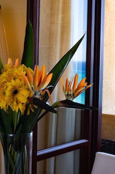 Grand Albergo Delle Rose Casino Rodos Adults O galeri fotoğrafı